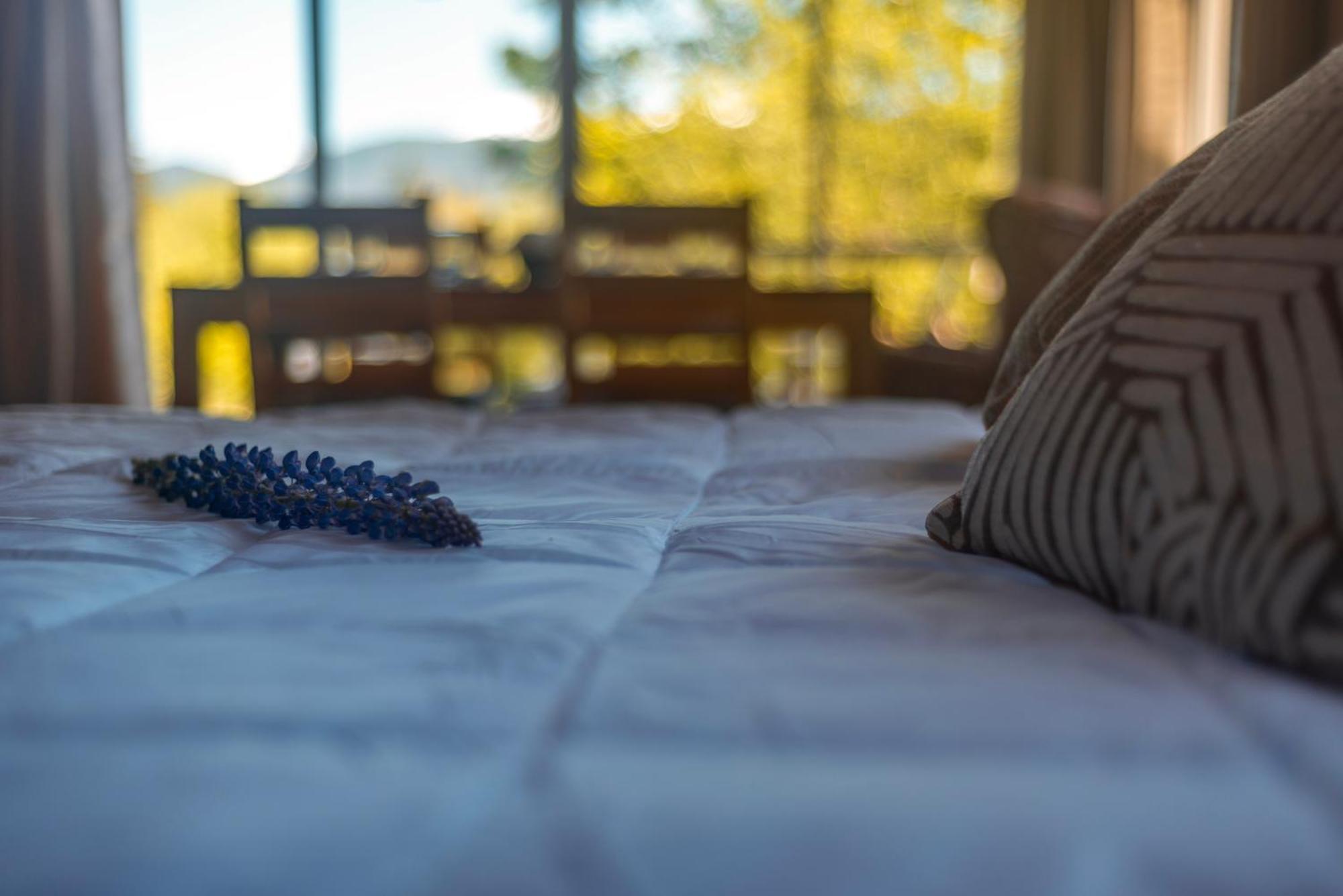 Mauka Holiday home